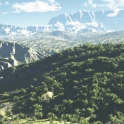 16_Jungle