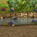 JunglePond