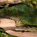JungleRoad