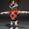 Pip